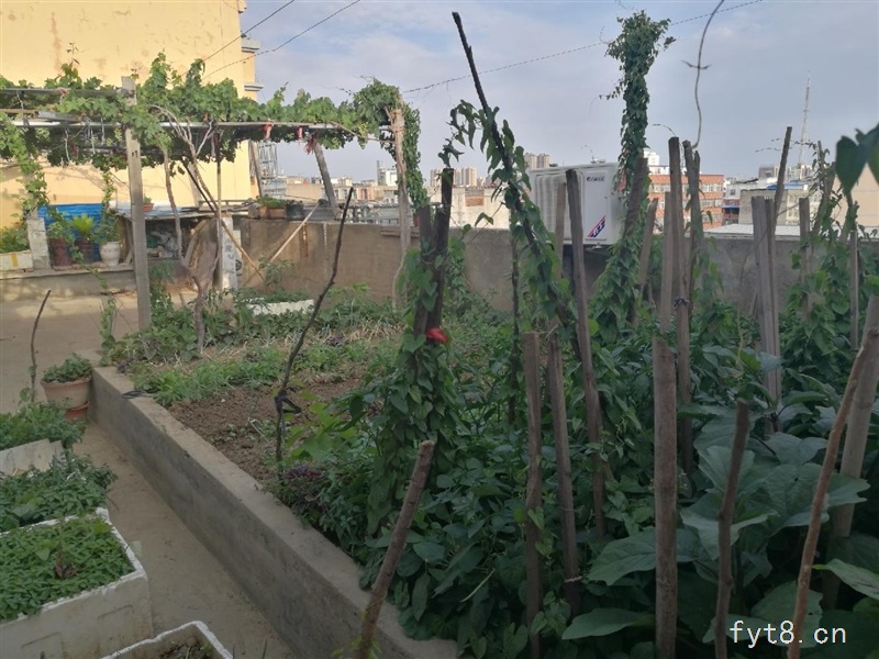 抢租德福原165平三居室领包入住可看房年付1.5万